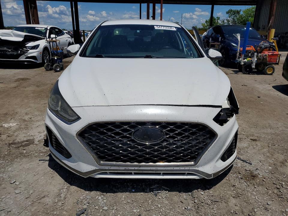 Продажа на аукционе авто 2019 Hyundai Sonata, vin: 5NPE34AF8KH743776, номер лота: 54775556