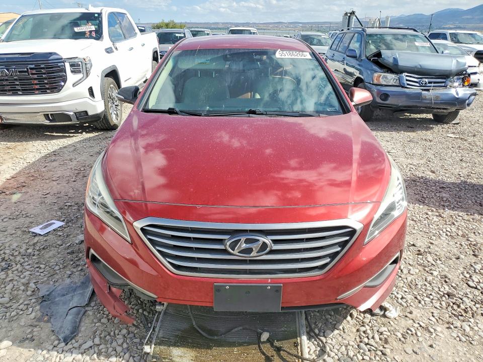 Продажа на аукционе авто 2016 Hyundai Sonata, vin: 5NPE24AFXGH279206, номер лота: 55186266