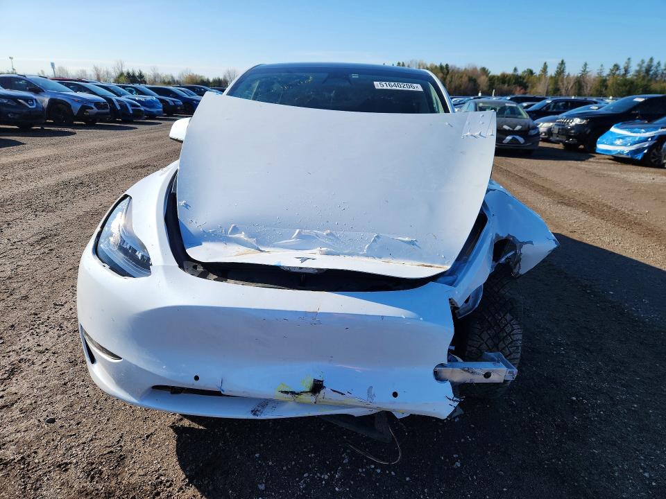 51640206 :رقم المزاد ، 7SAYGDEE2PF584376 vin ، 2023 Tesla Model Y مزاد بيع