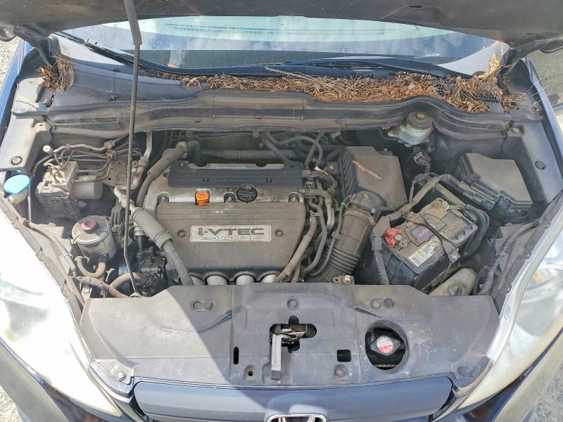 53584156 :رقم المزاد ، JHLRE38347C046578 vin ، 2007 Honda Cr-v مزاد بيع