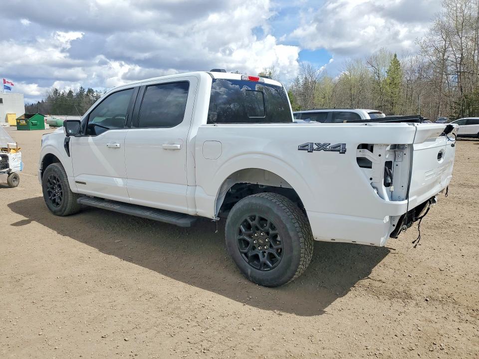 Продаж на аукціоні авто 2024 Ford F150, vin: 1FTFW3LD3RFB26940, номер лоту: 51460846