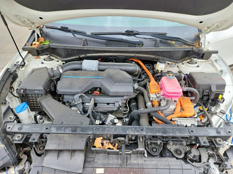 2023 Kia Sportage მანქანა იყიდება აუქციონზე, vin: KNDPXCAG5P7036291, აუქციონის ნომერი: 54841826