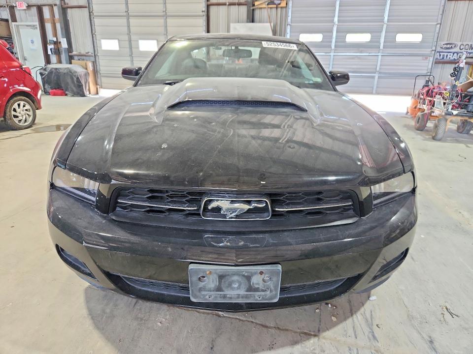 2010 Ford Mustang მანქანა იყიდება აუქციონზე, vin: 1ZVBP8AN9A5135217, აუქციონის ნომერი: 52534566
