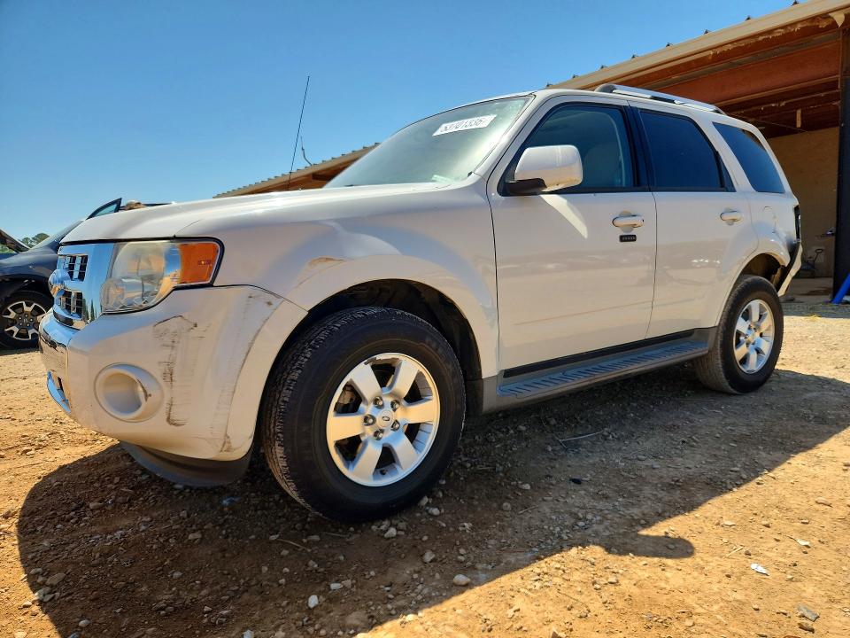Продаж на аукціоні авто 2010 Ford Escape, vin: 1FMCU0EG0AKA32357, номер лоту: 53701336