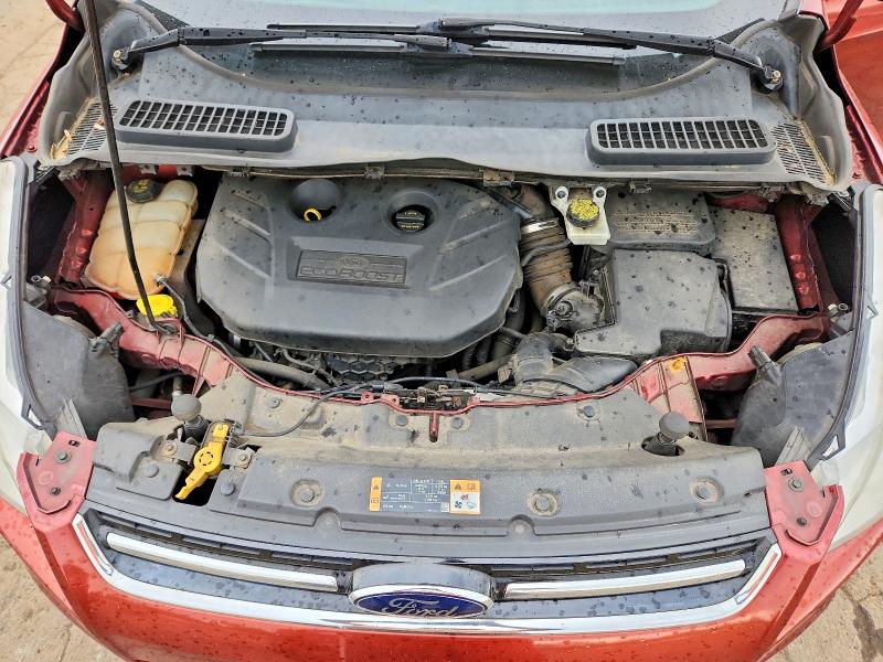 53525186 :رقم المزاد ، 1FMCU9J96EUB11411 vin ، 2014 Ford Escape مزاد بيع