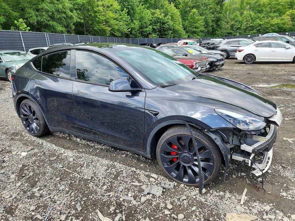 Продажа на аукционе авто 2024 Tesla Model Y, vin: 7SAYGDEF7RF043335, номер лота: 53627756