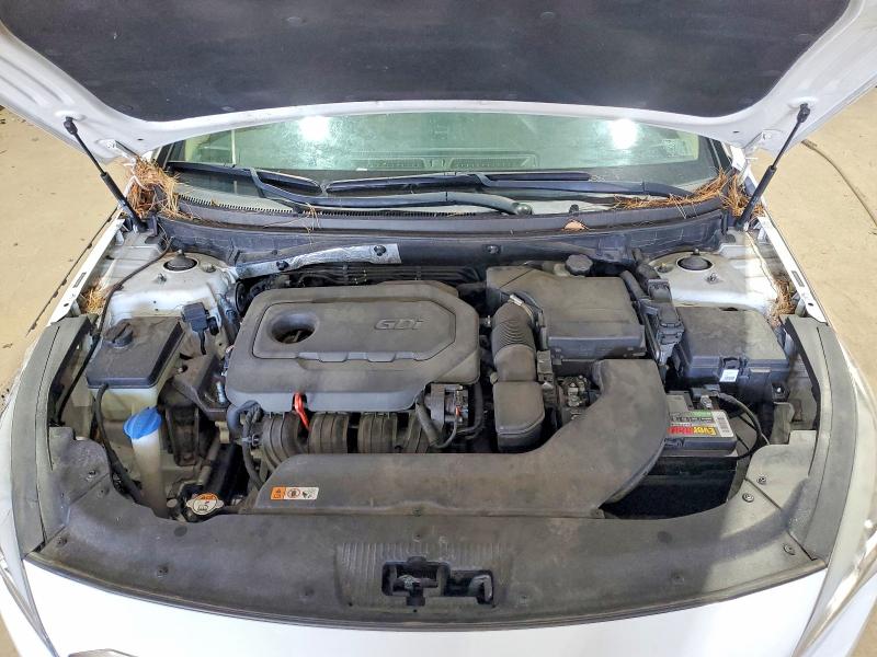 Продажа на аукционе авто 2016 Hyundai Sonata, vin: 5NPE24AF7GH294486, номер лота: 54155556