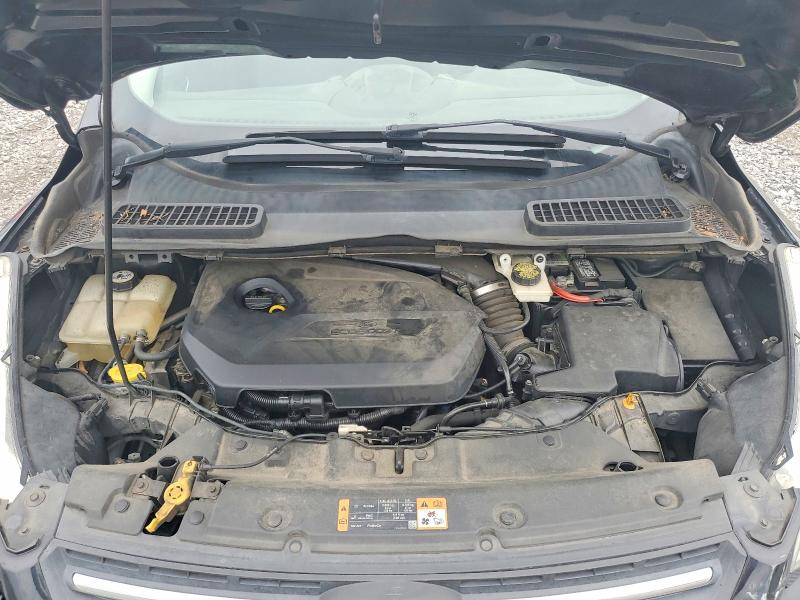 53013746 :رقم المزاد ، 1FMCU0GX3EUD50125 vin ، 2014 Ford Escape مزاد بيع