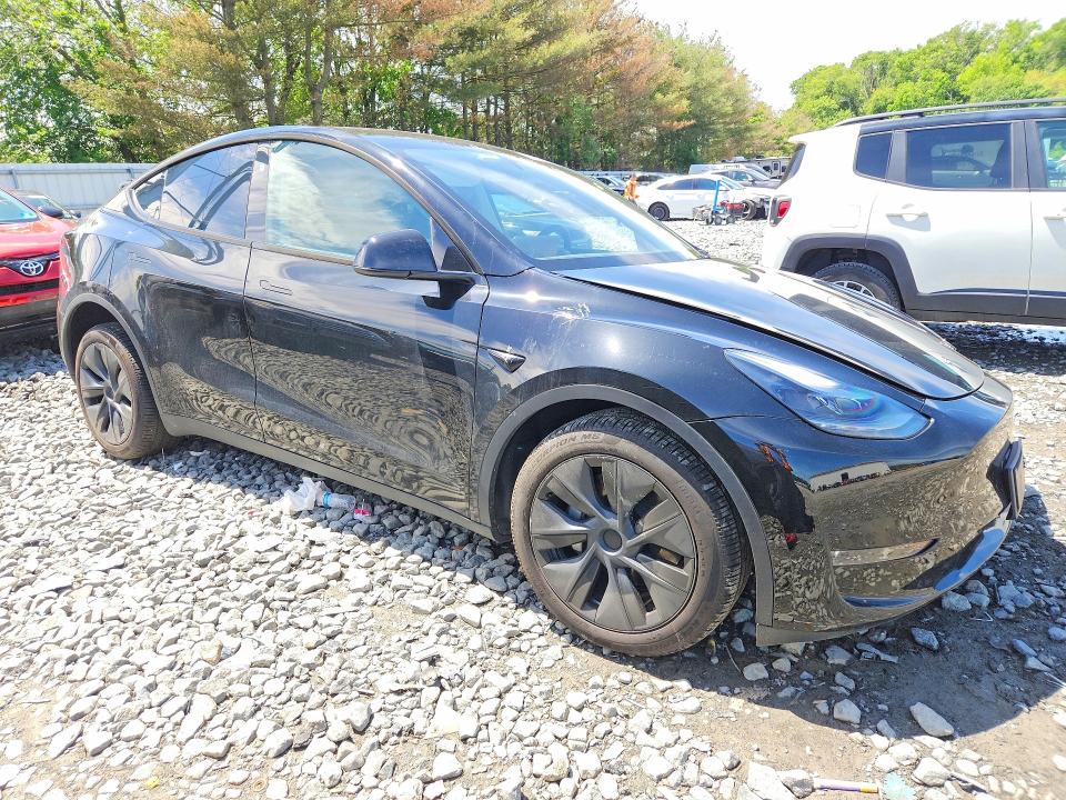 Продажа на аукционе авто 2025 Tesla Model Y, vin: 7SAYGDEE0SA339159, номер лота: 54833466