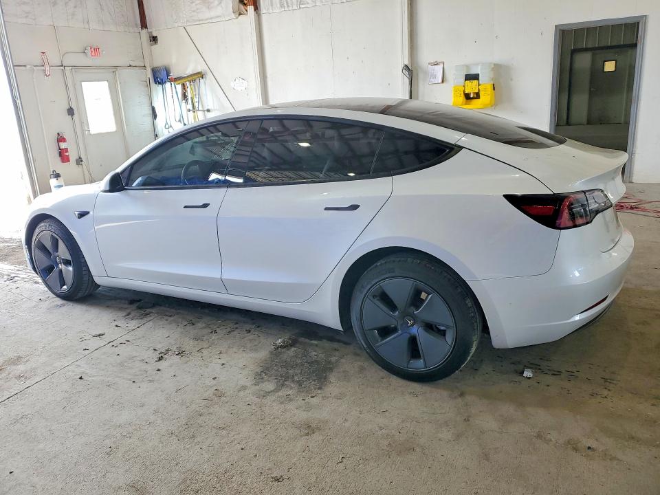 Продаж на аукціоні авто 2023 Tesla Model 3, vin: 5YJ3E1EA7PF494357, номер лоту: 53213756
