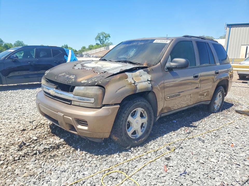 53785326 :رقم المزاد ، 1GNDS13S722454727 vin ، 2002 Chevrolet Trailblazer مزاد بيع