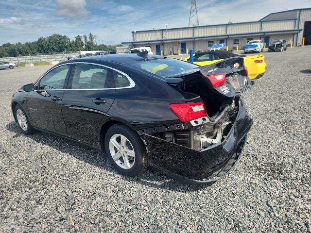 Продаж на аукціоні авто 2024 Chevrolet Malibu, vin: 1G1ZB5ST4RF143378, номер лоту: 55065596