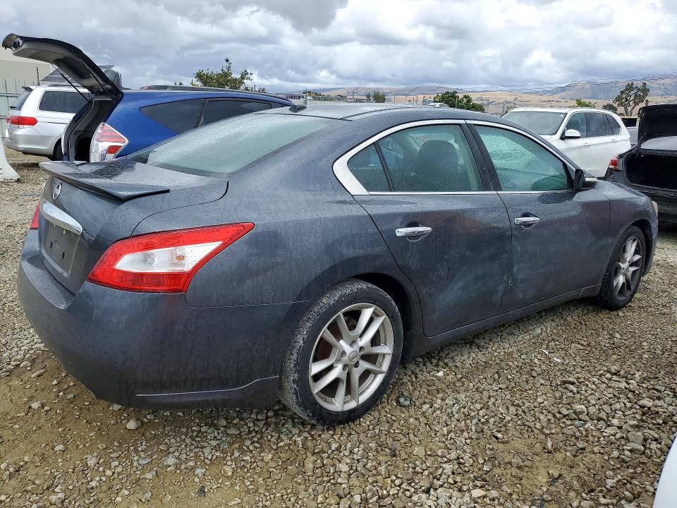 Продажа на аукционе авто 2011 Nissan Maxima, vin: 1N4AA5APXBC844743, номер лота: 55223636