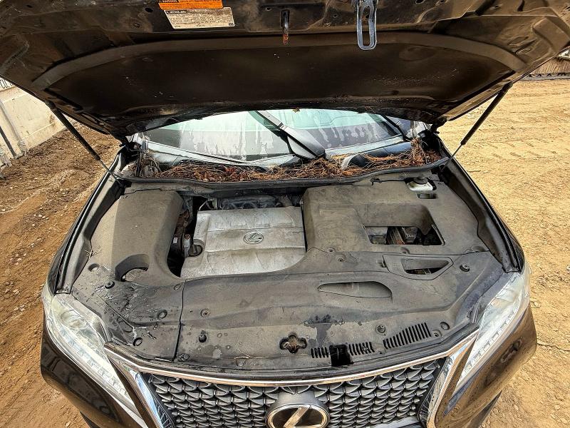 55985316 :رقم المزاد ، 2T2BK1BA9FC280543 vin ، 2015 Lexus Rx 350 مزاد بيع
