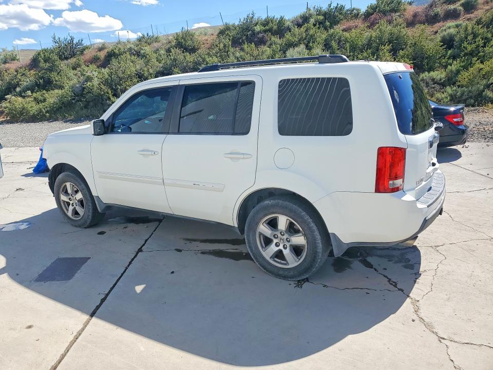 Продажа на аукционе авто 2010 Honda Pilot, vin: 5FNYF4H40AB025774, номер лота: 53605066
