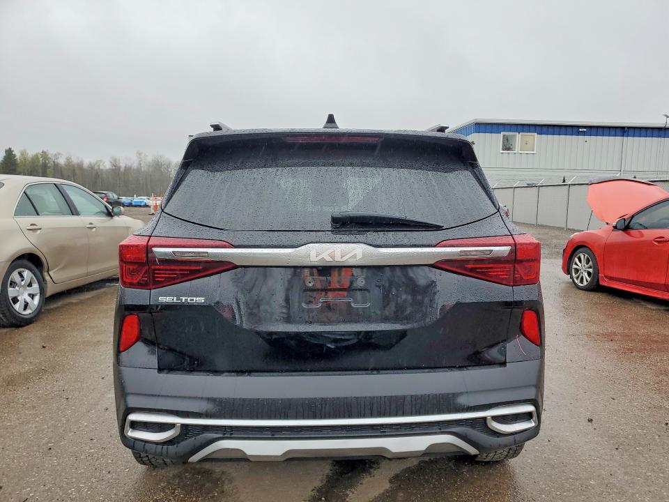 Auction sale of the 2023 Kia Seltos, vin: KNDETCA26P7437694, lot number: 51828026