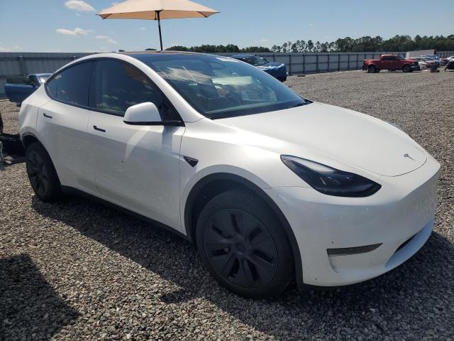 Продаж на аукціоні авто 2024 Tesla Model Y, vin: 7SAYGDED7RA329326, номер лоту: 51482106