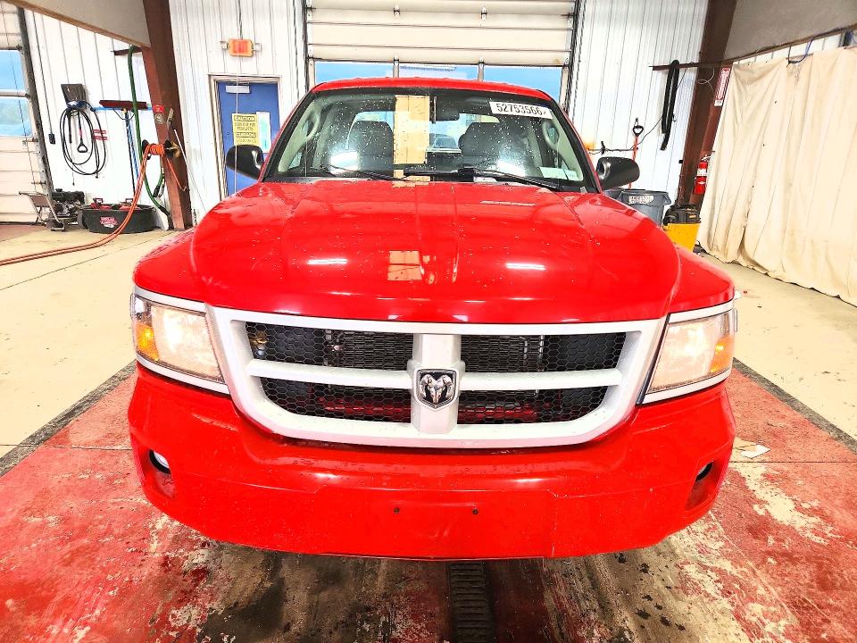 52753566 :رقم المزاد ، 1D7RW3GK4BS537076 vin ، 2011 Dodge Dakota مزاد بيع