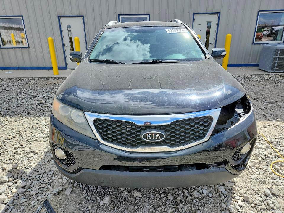 Продаж на аукціоні авто 2011 Kia Sorento, vin: 5XYKTCA10BG036339, номер лоту: 52385536
