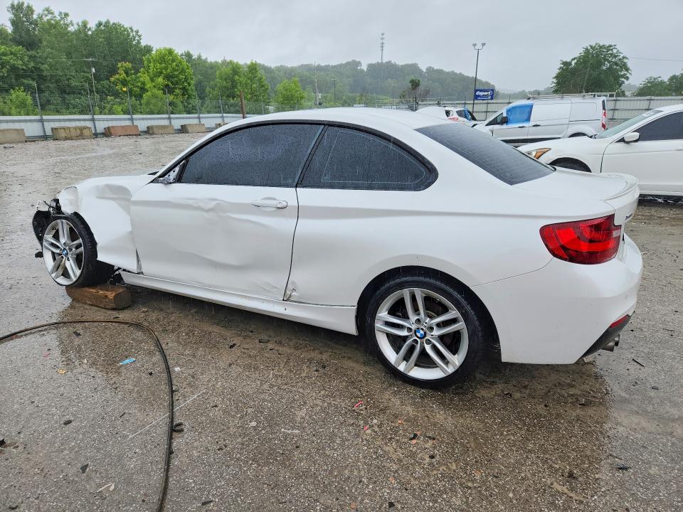Aukcja sprzedaży 2016 Bmw 228, vin: WBA1G9C51GV727041, numer aukcji: 54696106