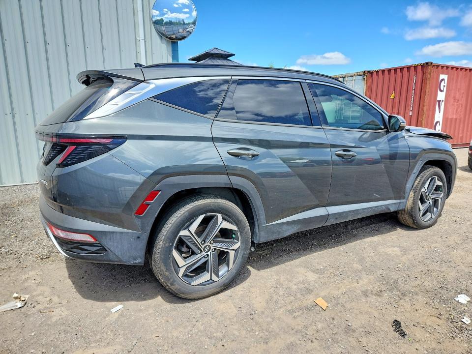 Продажа на аукционе авто 2024 Hyundai Tucson, vin: KM8JCCD11RU195592, номер лота: 54592346
