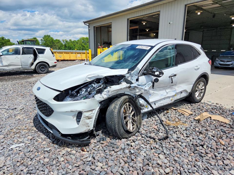 Auction sale of the 2020 Ford Escape, vin: 1FMCU9G64LUA81559, lot number: 52502736