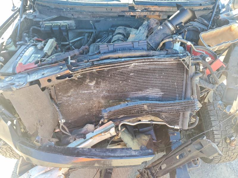 53448856 :رقم المزاد ، 1FTFW1EV4AKE27805 vin ، 2010 Ford F150 مزاد بيع