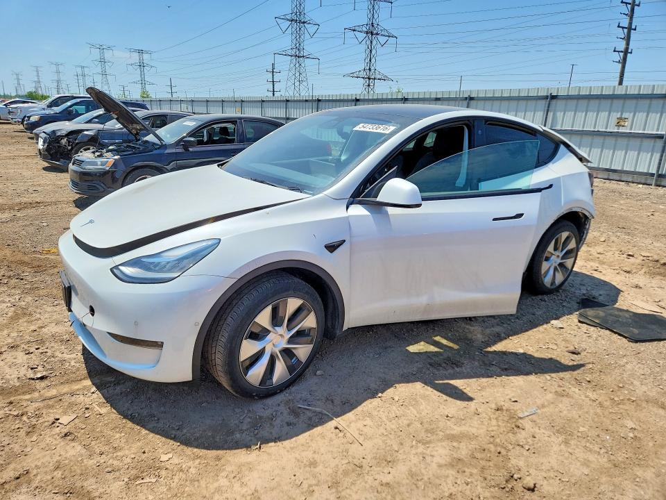 55422676 :رقم المزاد ، 5YJYGDEE2MF253094 vin ، 2021 Tesla Model Y مزاد بيع