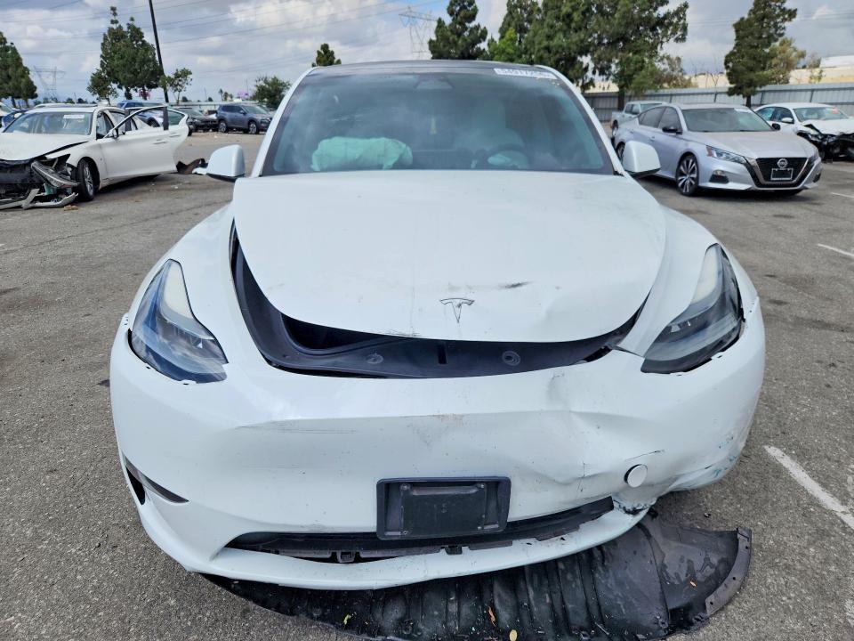 Продаж на аукціоні авто 2023 Tesla Model Y, vin: 7SAYGAEE9PF659881, номер лоту: 54917256
