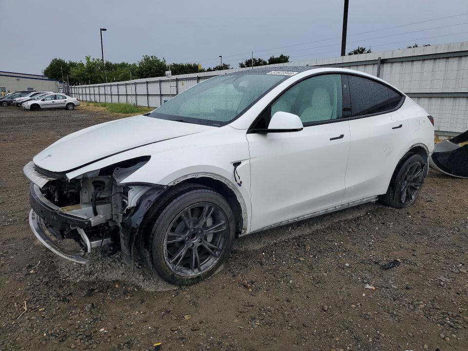 Aukcja sprzedaży 2024 Tesla Model Y, vin: 7SAYGDED3RF103674, numer aukcji: 51522946