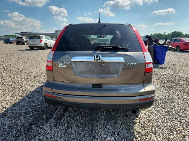 Продаж на аукціоні авто 2010 Honda Cr-v, vin: 5J6RE4H54AL051978, номер лоту: 54258626