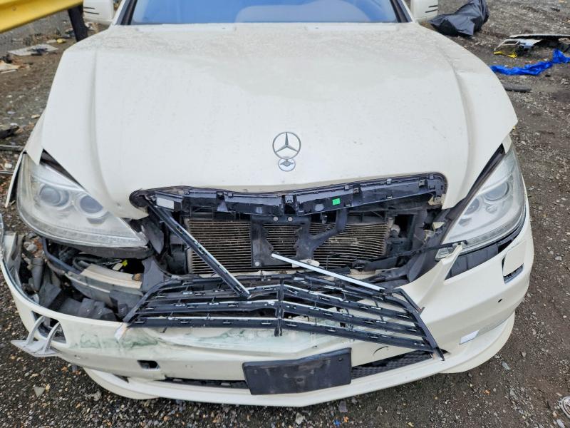 Продаж на аукціоні авто 2010 Mercedes-benz S, vin: WDDNG8GB3AA316193, номер лоту: 52612756