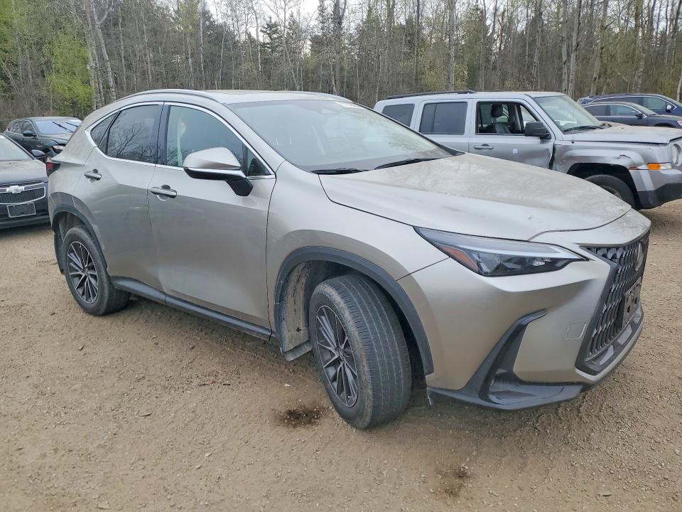 Aukcja sprzedaży 2022 Lexus Nx, vin: JTJGKCEZ1N5002042, numer aukcji: 51333296