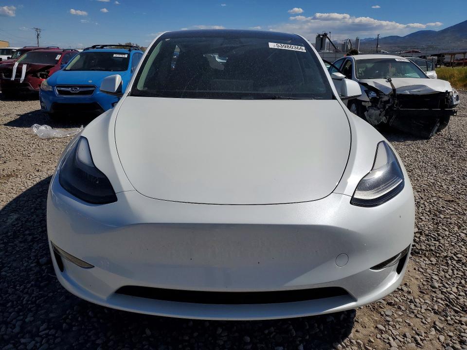 Продаж на аукціоні авто 2023 Tesla Model Y, vin: 7SAYGDEE8PF692517, номер лоту: 53980366