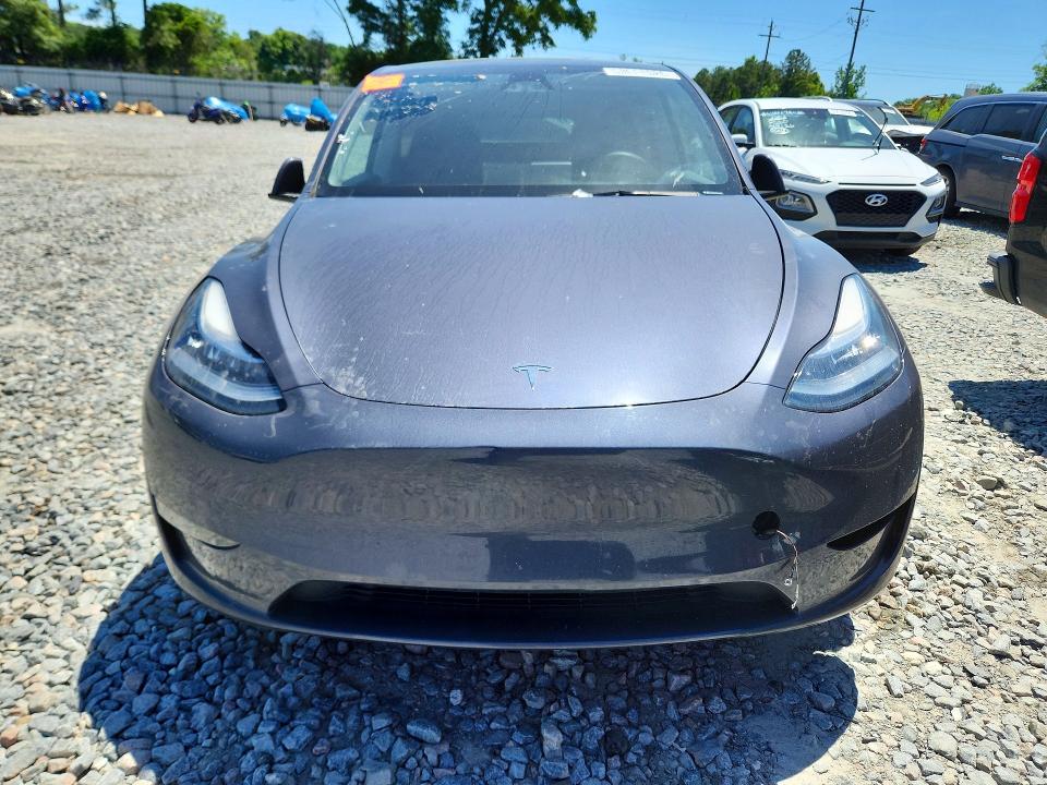 Продаж на аукціоні авто 2023 Tesla Model Y, vin: 7SAYGDEE0PA142371, номер лоту: 53611926