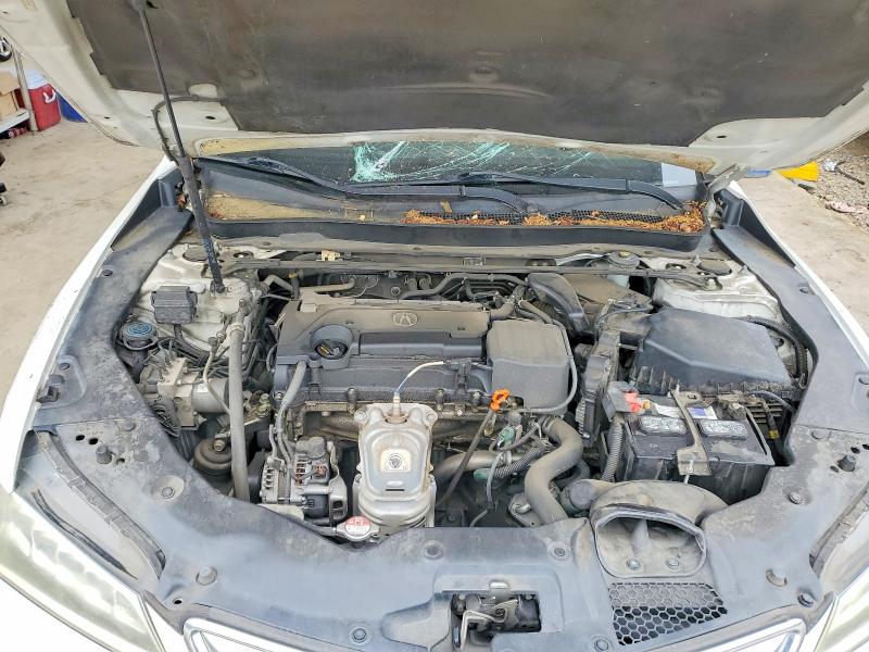2015 Acura Tlx მანქანა იყიდება აუქციონზე, vin: 19UUB1F50FA013226, აუქციონის ნომერი: 52196266
