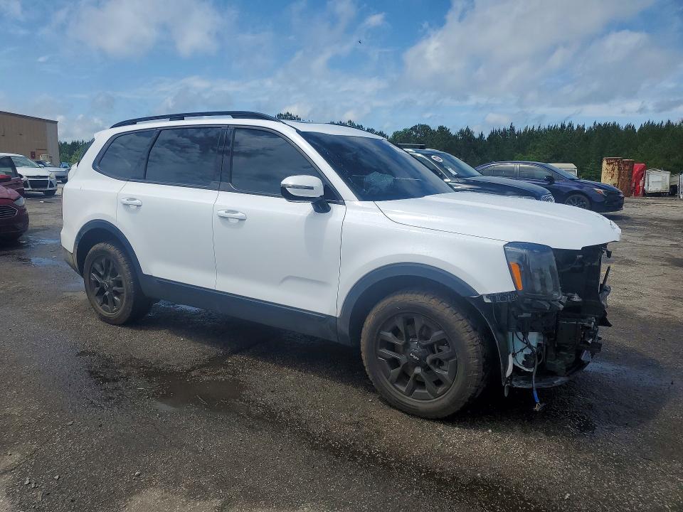 Продаж на аукціоні авто 2024 Kia Telluride, vin: 5XYP5DGC3RG553935, номер лоту: 52894236
