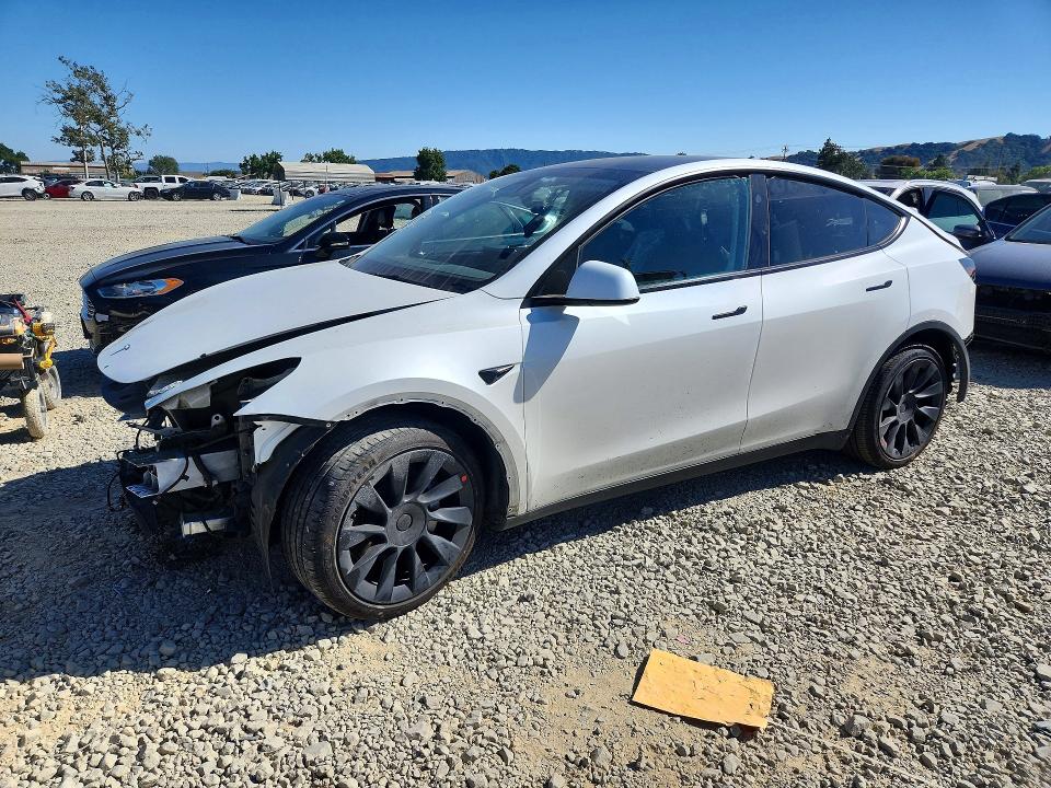 Продажа на аукционе авто 2024 Tesla Model Y, vin: 7SAYGAEE2RF008613, номер лота: 54869436