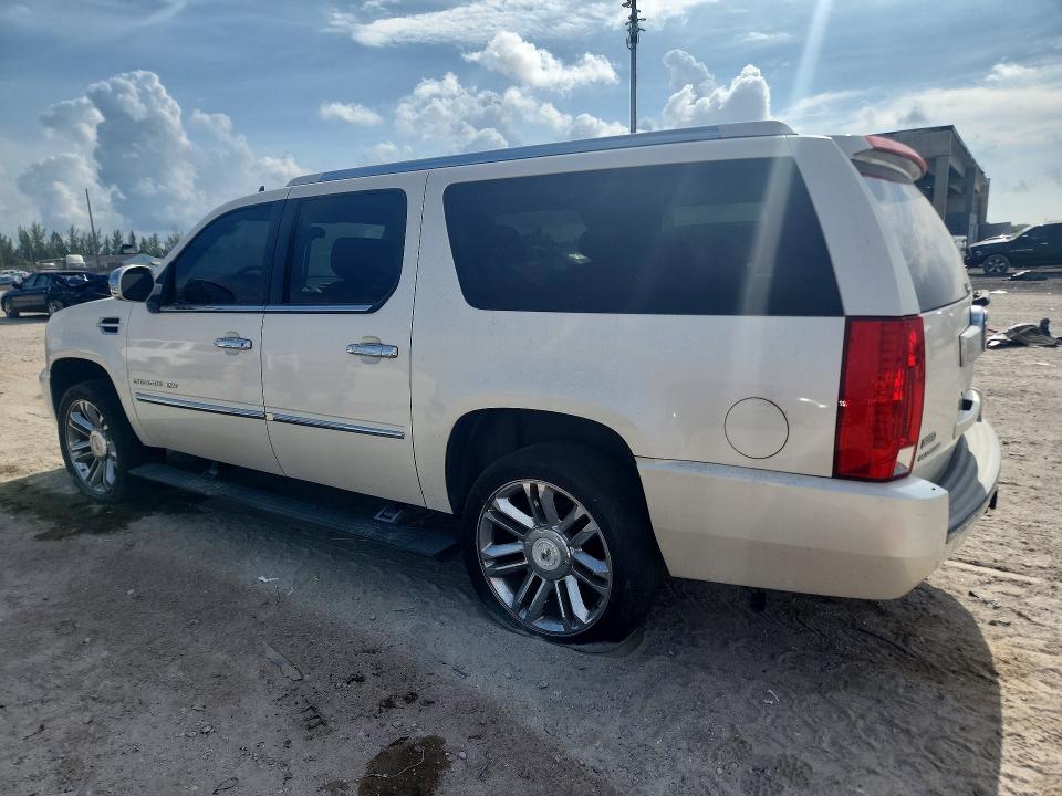 52904666 :رقم المزاد ، 1GYUCKEFXAR146463 vin ، 2010 Cadillac Escalade مزاد بيع