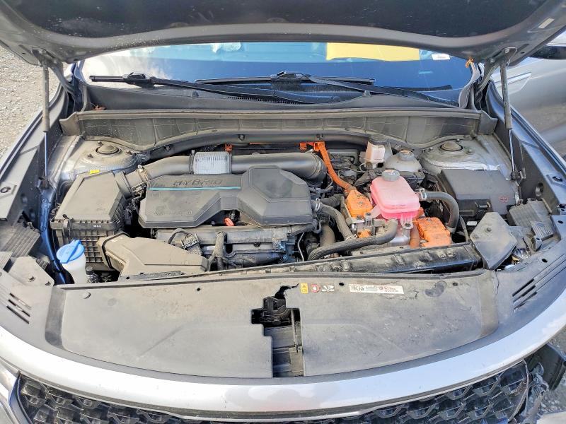 Aukcja sprzedaży 2023 Kia Sorento, vin: KNDRH4LG5P5136539, numer aukcji: 52503446