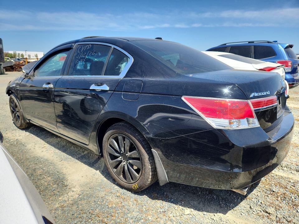 53828446 :رقم المزاد ، 1HGCP3F88BA029686 vin ، 2011 Honda Accord مزاد بيع