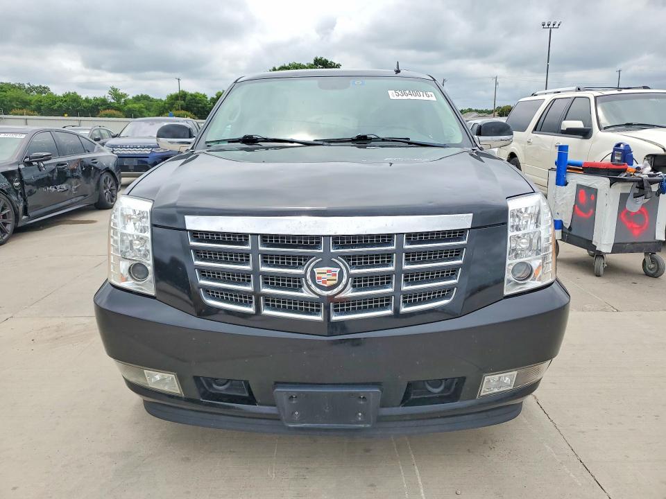 Продаж на аукціоні авто 2010 Cadillac Escalade, vin: 1GYUCBEF1AR259119, номер лоту: 53640076