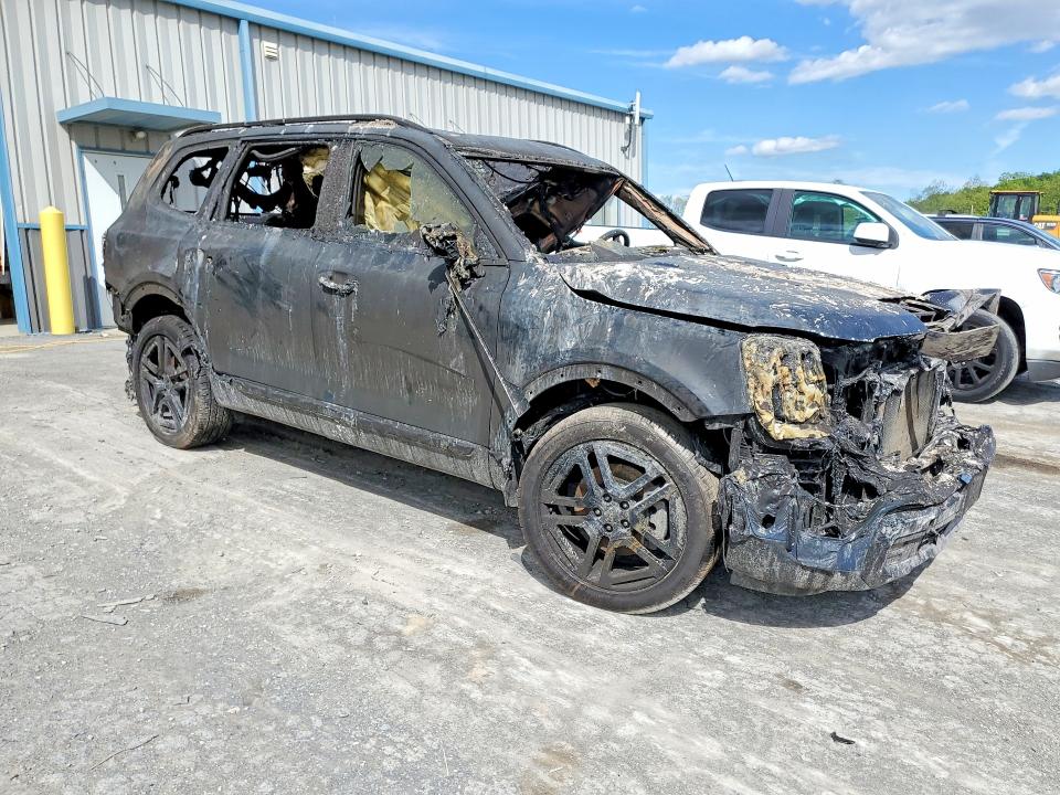 Продаж на аукціоні авто 2024 Kia Telluride, vin: 5XYP5DGC4RG445971, номер лоту: 53590776