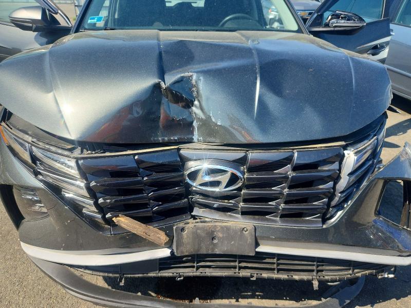 53968646 :رقم المزاد ، 5NMJBCAE2PH166220 vin ، 2023 Hyundai Tucson مزاد بيع