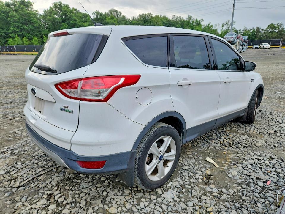 Продаж на аукціоні авто 2014 Ford Escape, vin: 1FMCU0GX5EUC69384, номер лоту: 55240446