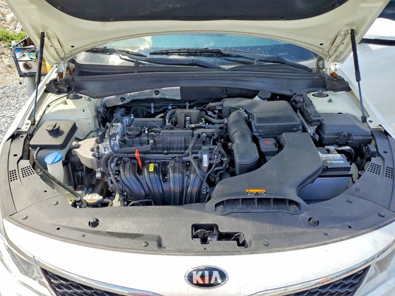 2016 Kia Optima მანქანა იყიდება აუქციონზე, vin: KNAGT4L32G5087431, აუქციონის ნომერი: 50985116