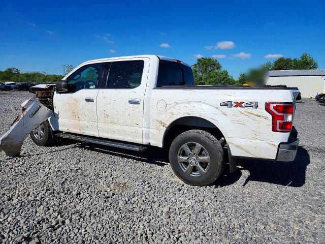 Aukcja sprzedaży 2020 Ford F150, vin: 1FTEW1EP7LFC81652, numer aukcji: 53343306