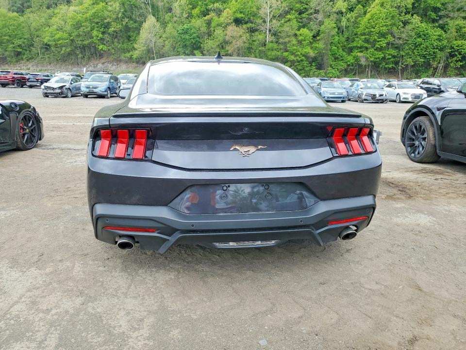 53164426 :رقم المزاد ، 1FA6P8TH4R5117804 vin ، 2024 Ford Mustang مزاد بيع
