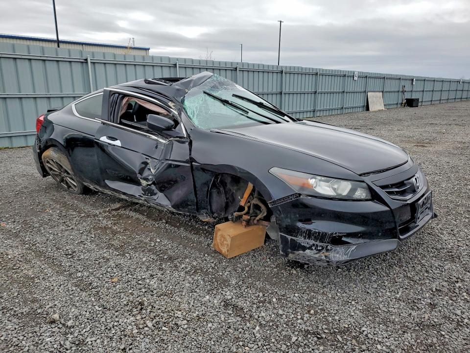 51755446 :رقم المزاد ، 1HGCS2B81BA800505 vin ، 2011 Honda Accord مزاد بيع