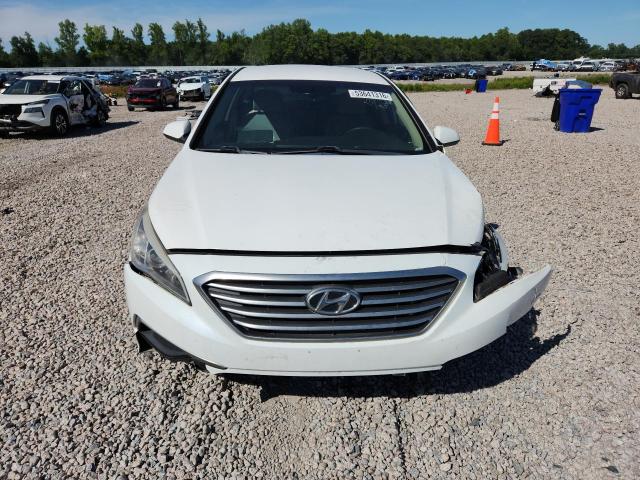 53641316 :رقم المزاد ، 5NPE24AF4GH319117 vin ، 2016 Hyundai Sonata مزاد بيع